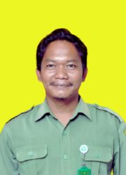 SUSWO
- Operator layanan Operasional